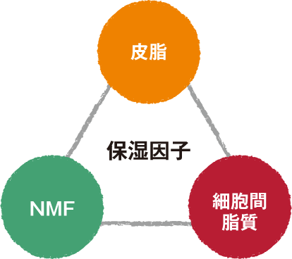 保湿スキンケアのポイント