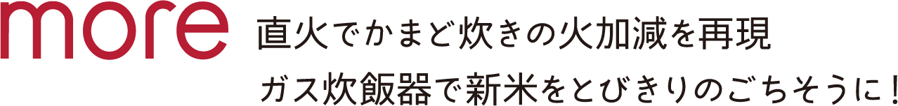 直火でかまど炊きの火加減を再現ガス炊飯器で新米をとびきりのごちそうに！