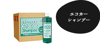 エコカーシャンプー