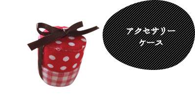 アクセサリーケース