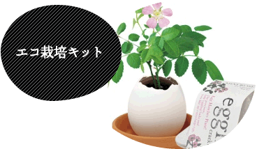 エコ栽培キット